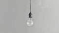Hanging light bulb against a grey background Royalty Free Stock Photo