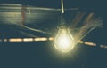 Hanging light bulbs with glowing one and web spider. Royalty Free Stock Photo