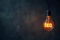 Hanging lightbulb with glowing text SEO with copy space Royalty Free Stock Photo