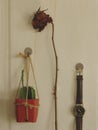 Hanging Mini Cactus, Dry Rose and Vintage Leather Watch on White Wooden Door - Creative Garden Idea Royalty Free Stock Photo