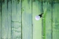 Hanging modern light bulb with green wooden planks Royalty Free Stock Photo