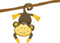 Hanging Monkey Royalty Free Stock Photo