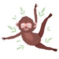 Hanging monkey animal safari cartoon with leaf foliage Royalty Free Stock Photo