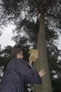 Hanging a nestbox, Nestkast ophangen