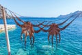 Hanging octopuses drying under the sun in Amoudi Bay,  Santorini, Greece Royalty Free Stock Photo