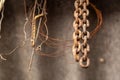 Hanging old thick metal iron rusty chains