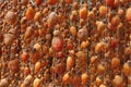 Hanging persimmon - Japanese Dried Persimmon Hoshigaki hanged on strings to dry a common sight