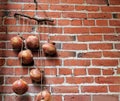 Hanging Planter of Gourds Against a Red Brick Wall Royalty Free Stock Photo