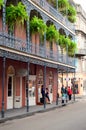 Hanging plants, French Quarter