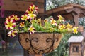 Hanging pot of dry grass with colorful flowers Royalty Free Stock Photo