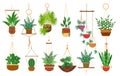 Hanging pots plants Royalty Free Stock Photo