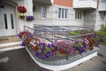 Hanging pots with red yellow pink flowers on the railing of the ramp of the house. Selective focus.