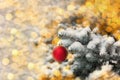 Hanging red ball ornament on fir branch with fresh winter snow and bokeh gold lights for Christmas or New Year holiday Royalty Free Stock Photo