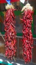 Hanging Red Chili Peppers
