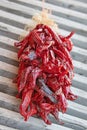 Hanging Red Chili Peppers with gray background in Espanola New Mexico USA Royalty Free Stock Photo