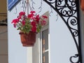 Hanging red flowers in the pod uder the porch of small shop. Royalty Free Stock Photo