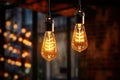 Hanging Retro Lamps, Vintage Style Industrial Lightbulbs, Warm Light Bulb in Interior, Retro Lams