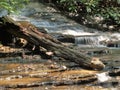 Hanging Rock State Park Cascades Royalty Free Stock Photo