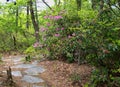 Hanging Rock State Park Royalty Free Stock Photo