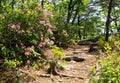 Hanging Rock State Park Royalty Free Stock Photo