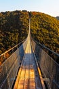 Hanging rope bridge Geierlay Royalty Free Stock Photo