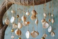 Hanging seashell mobile on driftwood with blue background Royalty Free Stock Photo