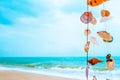 Hanging seashells decoration with tropical beach