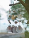 Hanging seashells mobile blowing in the wind
