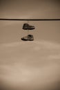 Hanging Shoes Royalty Free Stock Photo