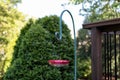 Simple Red Hummingbird Feeder Hanging in a Home Backyard Garden