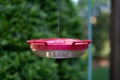 Simple Red Hummingbird Feeder Hanging in a Home Backyard Garden