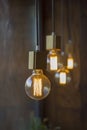 Hanging spheric retro vintage edison incandescent bulbs against a blurred brown wall with a wooden texture and green flowers Royalty Free Stock Photo