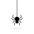 Hanging spider vector icon Royalty Free Stock Photo