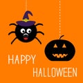 Hanging spider in witch hat and pumpkin Happy Halloween card. Flat design Royalty Free Stock Photo