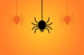 Hanging spiders background
