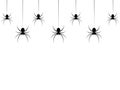 Hanging spiders for decoration and covering on the transparent background. for Halloween Royalty Free Stock Photo