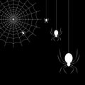 Hanging spiders and spider web on black background