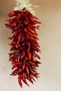 Hanging Strand Of Red Chili Peppers