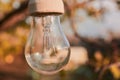 hanging street lamp against the background of yellow leaves. Autumn, overcast Royalty Free Stock Photo