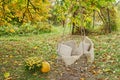 Hanging swing. Autumn harvest terrace background. Halloween. Country. Pumpkins and flowers. Vacation home. Thanksgiving Day