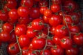Hanging tomato, cherry, macro photo of red cluster ripe tomato type