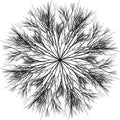 Hanging Tree Roots mandala Royalty Free Stock Photo