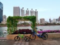 Hanging vegetable garden in center city public park