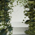 Hanging Vines Frame and Steps Surface Royalty Free Stock Photo