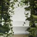 Hanging Vines Frame and Steps Surface Royalty Free Stock Photo