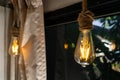 hanging Vintage light bulbs