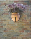 Hanging widemouthed earthen jar of dry Pennisetum on a bick wall