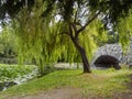 Hanging willow tree by a pond and stone bridge Royalty Free Stock Photo