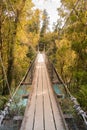 Hanging wooden bridge in tropical jungle Royalty Free Stock Photo