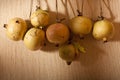 Hanging Yellow Pomegranates Royalty Free Stock Photo